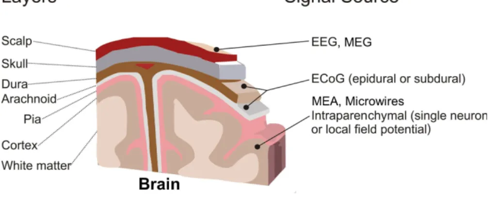 Figure 1.7: Overview of brain metrology techniques and their characteristic localization.