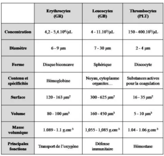 Tableau  I-3 :  Tableau  de  synthèse  sur  les  différents  éléments  figurés  du  sang  humain,  leurs  caractéristiques et leurs fonctions