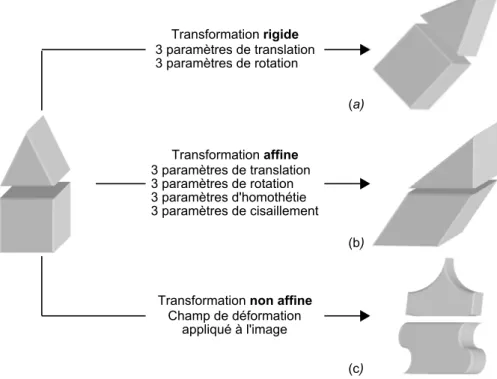 Figure 1.13  Représentation de l'application de transformations rigides (a), anes (b) et non anes (c) sur un objet 3D.