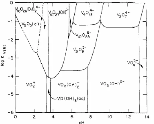 Figure 30 : Diagramme de prédominance des espèces du vanadium (V) en solution aqueuse en fonction de la  concentration et du pH [BAE76]