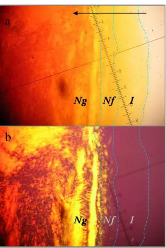 Figure 34 : Observation en lumière normale (a) et polarisée (b) des différentes phases gel nématique (Ng), sol  nématique (Nf) et sol isotrope (I) dans un échantillon de V 2 O 5  présentant un gradient de concentration