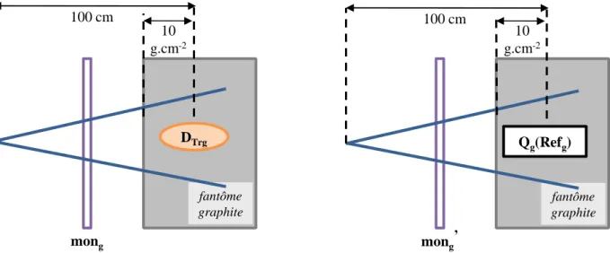 figure II.4_représentation simplifiée du dispositif expérimental utilisé lorsque le dosimètre de transfert est dans le graphite