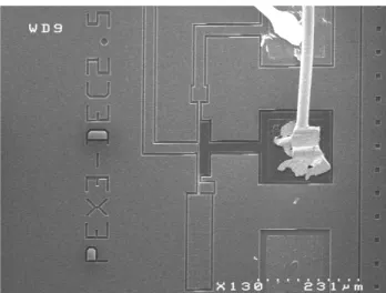Fig. 2.11  In-situ SEM picture of the device while applying a constant DC voltage of 10V on one electrode (darker on the picture)