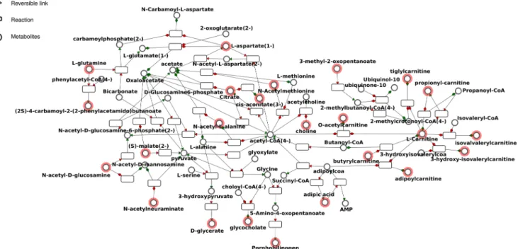 Fig. 3 Sub-network corresponding to the black cluster built from the distance matrix by keeping only the shortest paths between metabolites belonging to the cluster, and displayed using the MetExplore web server (see the Patients and methods section for ad
