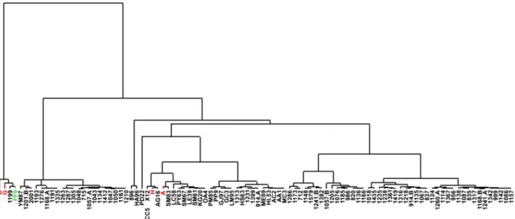 Fig. 1 Hierarchical clustering analyses performed on patients with CAFSA and patients with unexplained encephalopathies