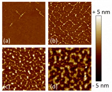 Figure 5. 1×1 µm² AFM scans on 30 nm thick Si 0.6 Ge 0.4  samples annealed at (a) 1.32 J/cm², (b) 1.40 J/cm², (c) 1.50 J/cm² and (d)  1.60 J/cm²
