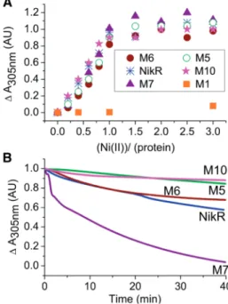 Figure 2. Ni(II) binding to NikR and M5, M6, M7 and M10 deriva- deriva-tives and kinetics of metal release for HpNikR and derivaderiva-tives.