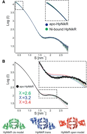 Figure 4. DNA-binding properties of HpNikR to PnixA, PureA and PexbB in Ni-only and Ni/Mn conditions