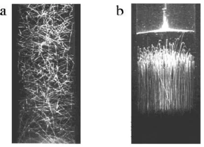 Fig. 9. Photographs of particle trajectories from the experiments of [1], showing the cluster at high densities