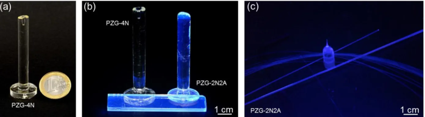 Figure  1  Phosphate-glass  preforms  and  fibers  (a)  Undoped  preform  under  white  light  (b)  Undoped  and  doped  preforms  under  UV  excitation  light  (c)  PZG-2N2A  glass  (bottom-neck  preform, capillaries and fiber l ~40 m, ϕ ~150 µm) under UV