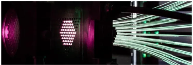 Fig. 2. Near field interference pattern of 61 beamlets as operated on  XCAN  prototype