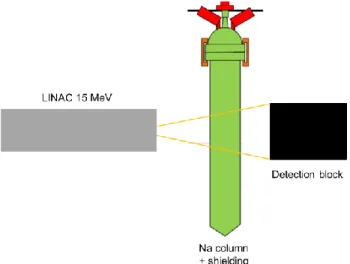 Fig. 6. Schematic view of the PLINIUS-2 IC-Na experiment. The corium is  released from the top of the column and falls into the sodium test section