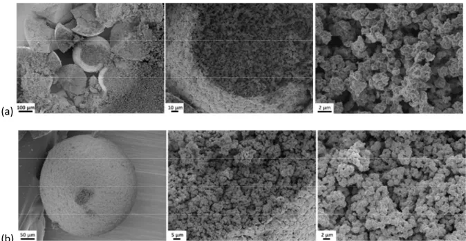 Figure 3: FEG-SEM micrographs in secondary electron mode of oxide microspheres: (a) (U,Ce) 3 O 8
