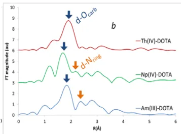 Figure 2: a: UV-Vis kinetic follow-up of the complexation of  1x10 -3 M Am 3+   by 0.1M DOTA at pH = 3±0,3  and  θ  = 25 °C in  aqueous solution