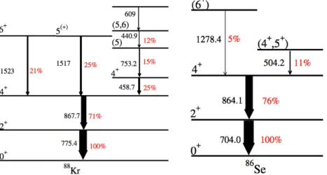 Fig. 3. (Colour on-line) Observed level scheme of 88 Kr (left) and 86 Se (right). In red/grey are indicated the observed relative γ-intensities in this work.