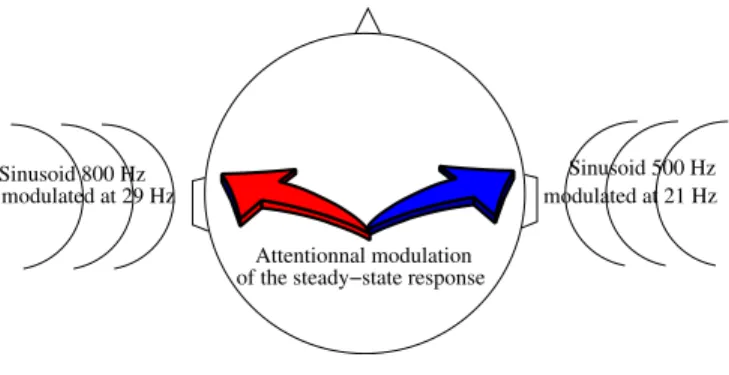 Fig. 1. Steady-state auditive evoked potentials experiment. During a dichotic binaural listening (right ear: 500 Hz sinusoidal sound modulated at 21 Hz, left ear: 800 Hz sinusoidal sound modulated at 29 Hz), it is stated that there exists an effect of the 