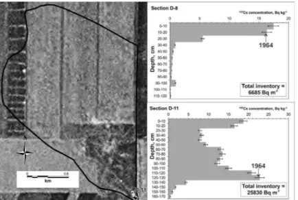 Fig. 6 The Upper Kazgulak catchment, dry reservoir and  137 Cs depth distributions for the two cores  studied