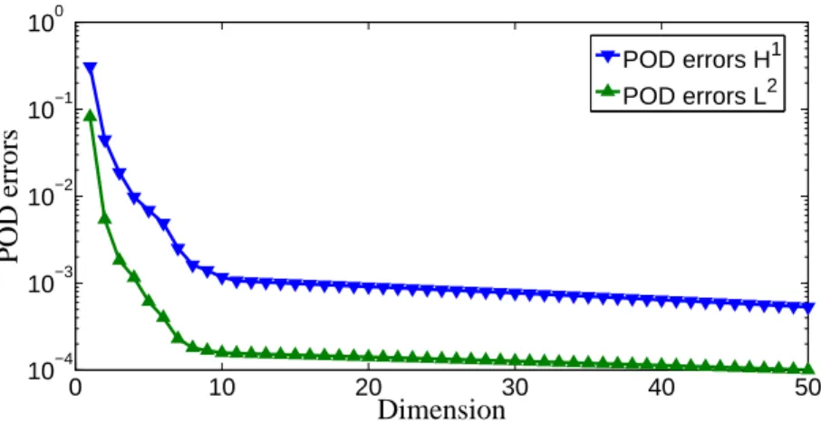 Figure 5: Two SVD ( in L 2 and in H 1 ) of the set of solutions over Ω 2 .