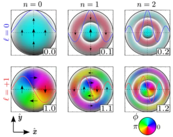 Fig. 1.2 Color representation of the Bessel spatial patterns for different values of the azimuthal mode index  (by row) and radial mode index n (by column)