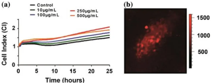 Fig. 4.9 a Cell index real-time monitoring of HepG2 cells exposed 24 h to 20 nm NDs; b Raman/ photoluminescence  image on a HepG2 cell [25] 