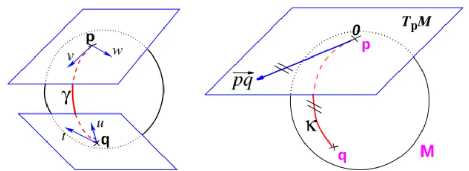 FIGURE 1. Left: The tangent planes at points p and q of the sphere S 2 are different: the vectors v and w of T p M cannot be compared to the vectors t and u of T q M 