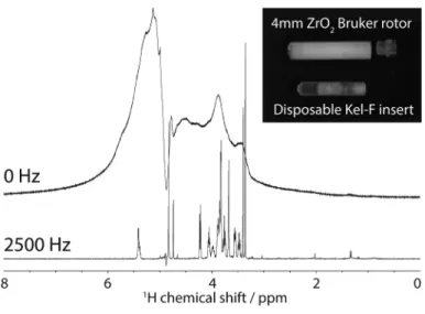 Figure 5.2     1 H HR-MAS spectra of 10 mg rat brain tissue. The NMR spectra were  recorded with a t 2 -cpmg experiment at 500 MHz at 285 K under  dif-ferent  MAS  conditions:  (top)  under  a  non-sample-spinning   condi-tion  at  0  Hz,  and  (bottom)  a