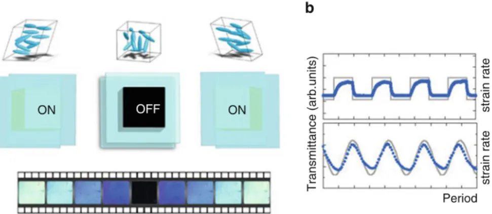 Fig. 12 (a) Snapshots of the isotropic phase of a liquid crystal polymer under low-frequency shear strain (similar effects are observed for low molecular weight liquid crystals)