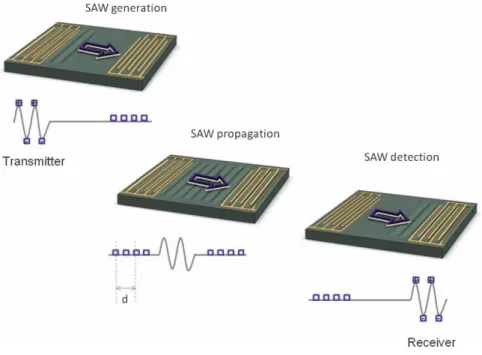 Figure 18.11 Generation of an acoustic wave on a delay line resonator (schematic by B