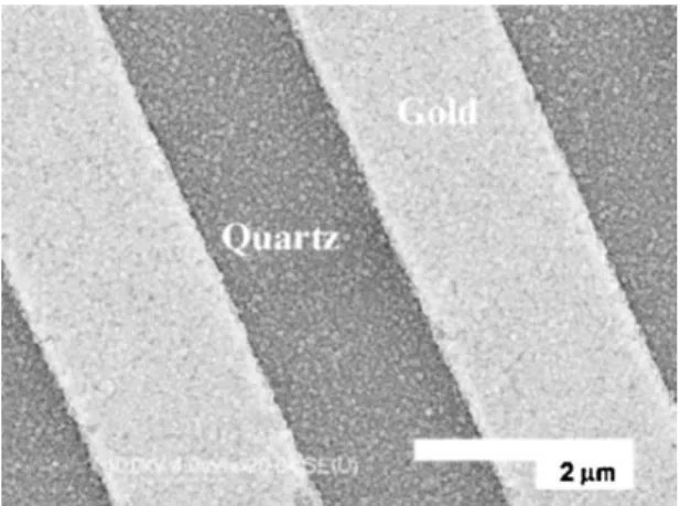 Figure 18.12 SEM image of a SAW sensor with a slight nanodiamond coating.