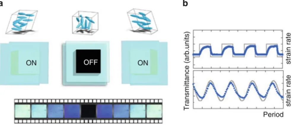 Fig. 12 (a) Snapshots of the isotropic phase of a liquid crystal polymer under low-frequency shear strain (similar effects are observed for low molecular weight liquid crystals)