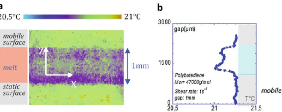 Fig. 14 Microthermal cartography of human blood plasma submitted to an oscillatory shear strain of 10 rad/s which corresponds to the heart rate (gap view, 1.1 mm thickness, 500% strain rate, alumina ﬁ xtures)