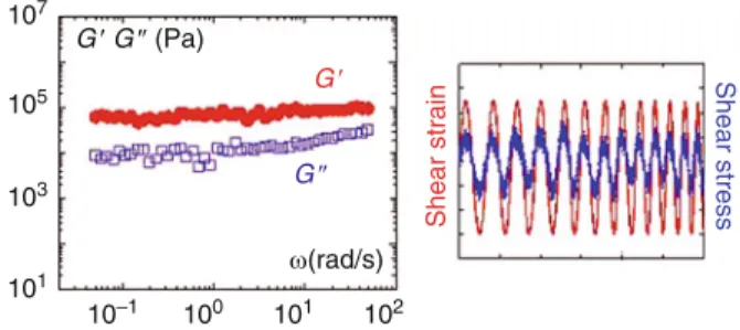 Fig. 1 The shear elastic (G 0 ) modulus of polymer melts exhibits ﬁ nite shear elastic response at low frequency at the submillimeter scale