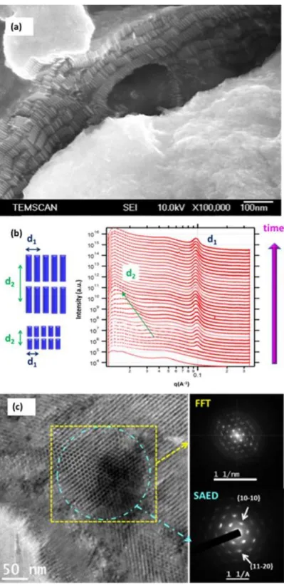 Figure 4. (a) SEM image of cobalt nanorods organized in several superimposed 2D layers; (b) In situ SAXS part of  the time-dependent spectra of tandem SAXS-XAS experiment for the formation of Co-nanorods: d 1  corresponds  to the in-plane centre to centre 