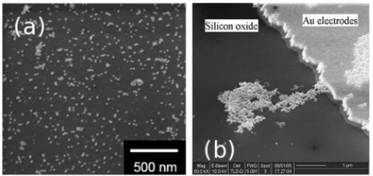 Fig. 1 : (a) SEM images of sample B after deposition and encapsulation of Au-NP  and (b) of sample C after deposition of nanoparticules