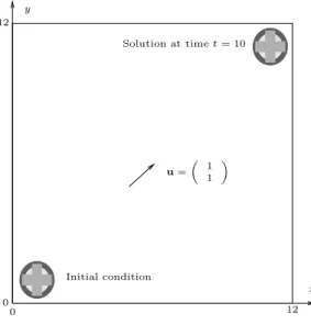 Fig 8: Advection in dimension 2. Presentation of the test case