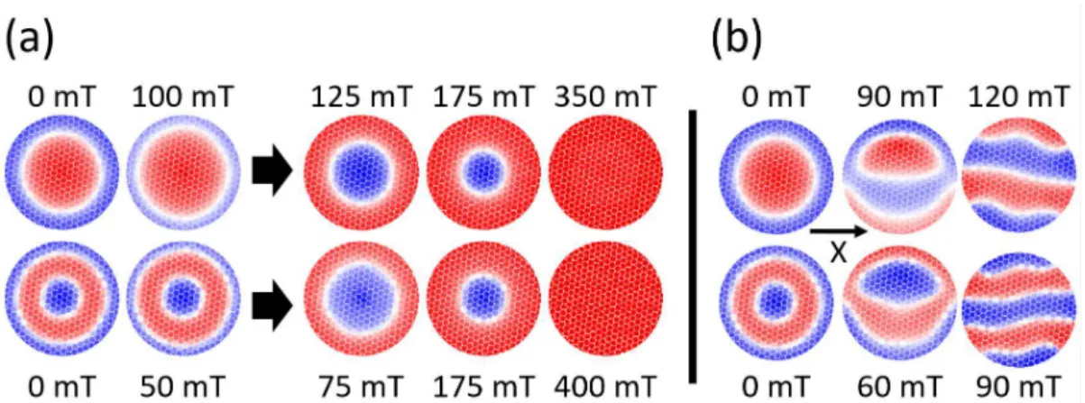 Figure 8. Magnetic structure for disks with applied fields. The remanent initial state was obtained  after saturation in a negative OOP field