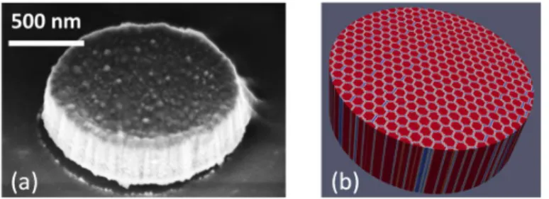 Figure 1.  Disk morphology: (a) Scanning electron microscopy image of one of our patterned  Permalloy disk illustrating the columnar nanostructure of the samples