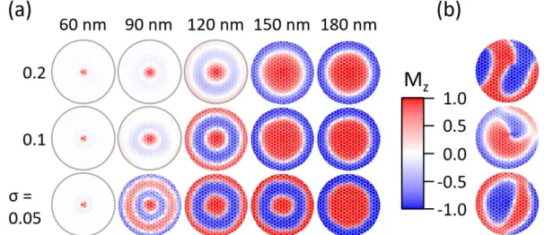 Figure 4. (a) Magnetic structure in the median plane of the disk (plane at half thickness), as a  function of the thickness and 