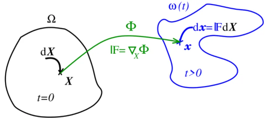 Fig. 1. Sketch of the Lagrangian-Eulerian mapping relating a material Lagrangian point X at t = 0 and a spatial Eulerian one x at t &gt; 0 through Φ, and its Jacobian F (X , t) = ∂Φ