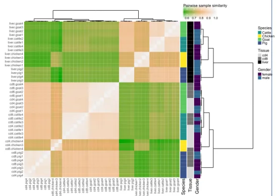 Figure 3 RNA-seq sample heatmap and hierarchical clustering based on the expression of the 9,461 orthologous genes across the four species