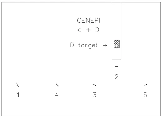 Figure 1: Positions of activation foils with respect to the GENEPI beam line.