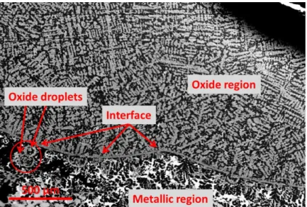 Figure 11: BSE image of sample OUZr_2. Two regions may be distinguished in the solidified sample: 