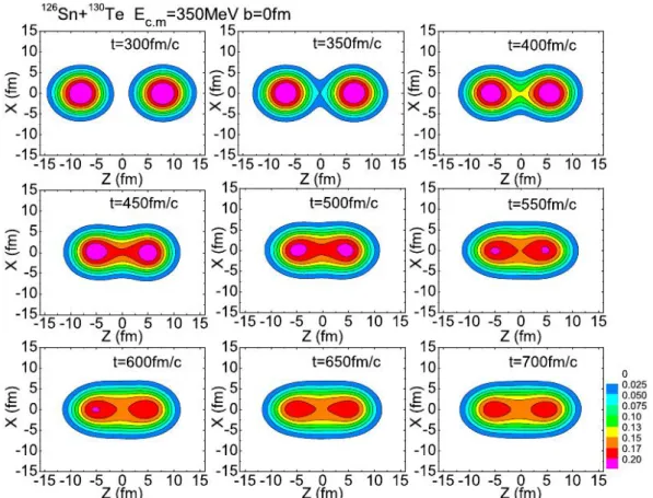 Figure IV.15 – Illustration of the neck evolution based upon the quantum molecular dynamics.