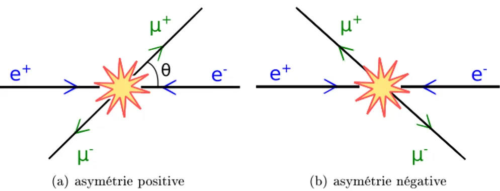 Figure 2.6  Schéma de principe de la cinématique du processus e + e − → µ + µ − conduisant à une asymétrie de charge positive (a) et négative (b).