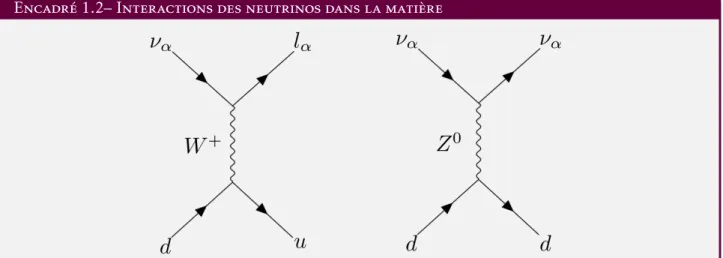 Figure 1.2 – Exemple d’interactions courant chargé (CC, gauche) et courant neutre (NC, droite) entre un neutrino et un quark down.