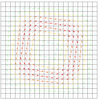 Figure 3: Exemple d’un calcul de diffusion tensoriel sur un cas test repr´ esentant un vortex.