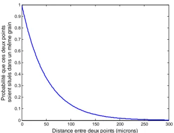 Figure 6 : Fonction de corrélation spatiale exponentielle pour un diamètre effectif  de 100 microns 