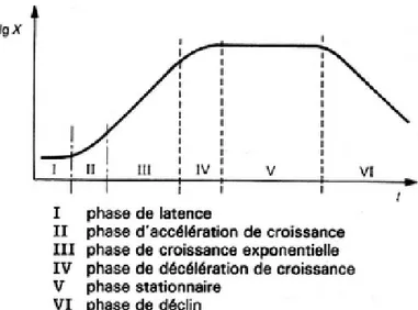 Figure II-3 : évolution de la croissance bactérienne au cours du temps (Bourat, 1992) 