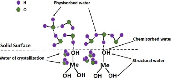 Figure 1.3. Surface states of alumina showing water in its four forms. 