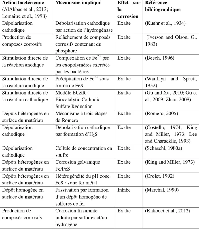 Tableau II-2 : mécanismes de corrosion impliquant les BSR  Action bactérienne 
